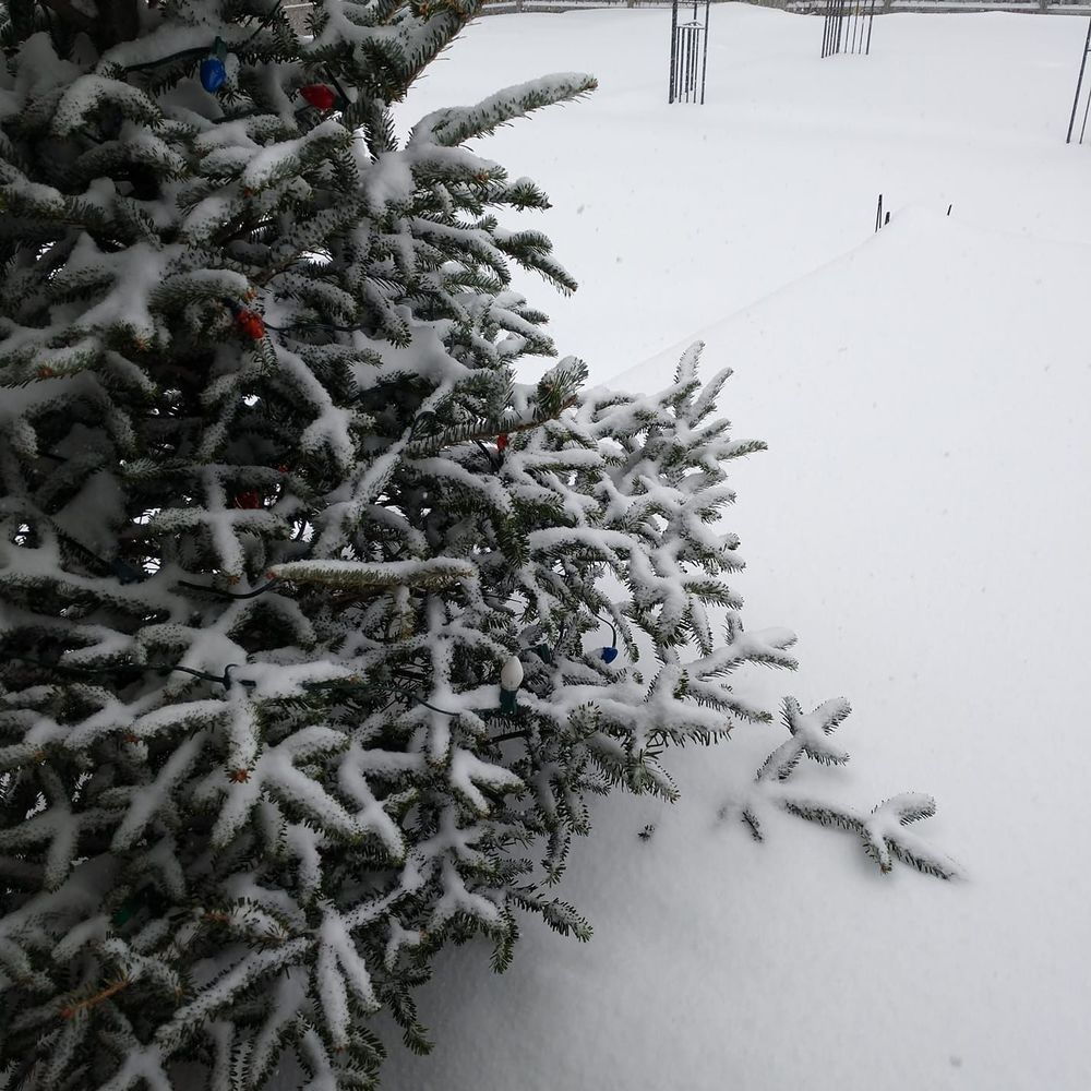 Meet your Posher, Mari